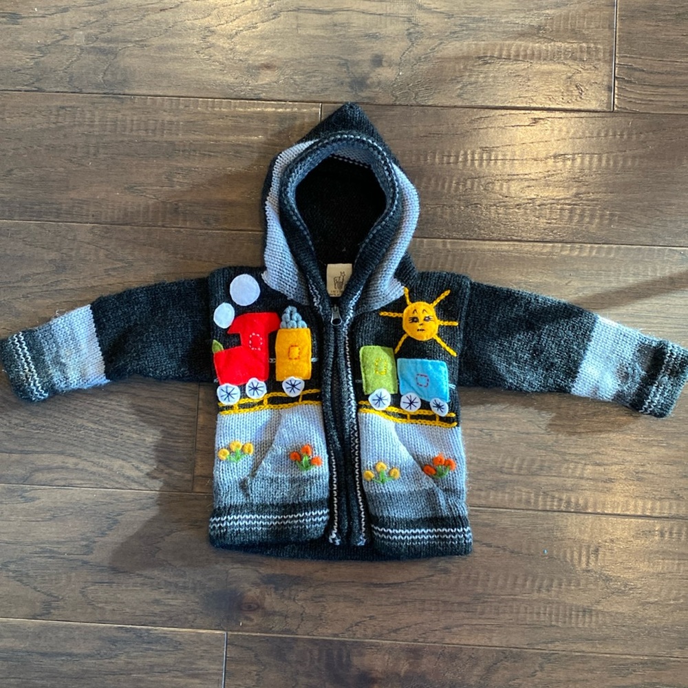 Lucy Iburg Handknitted Embroidered Train Hooded Sweater - Made in Peru